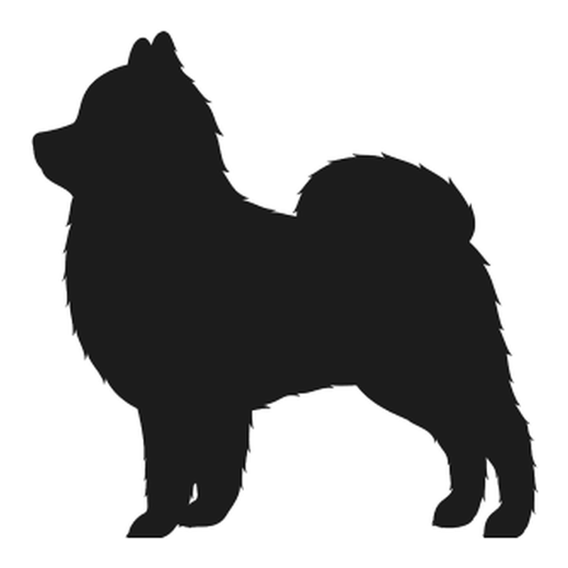 Pomeranian (Fluffy Stance)