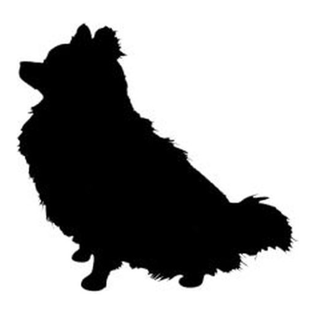 Pomeranian (Cosy Sit)