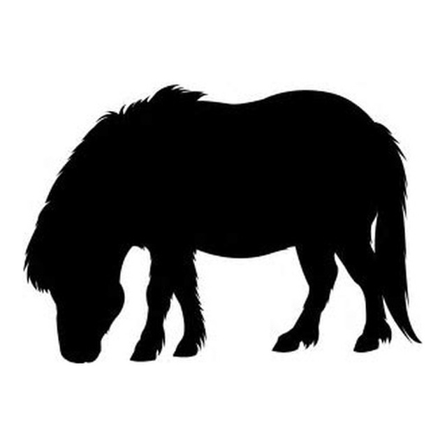 Pony (Grazing)