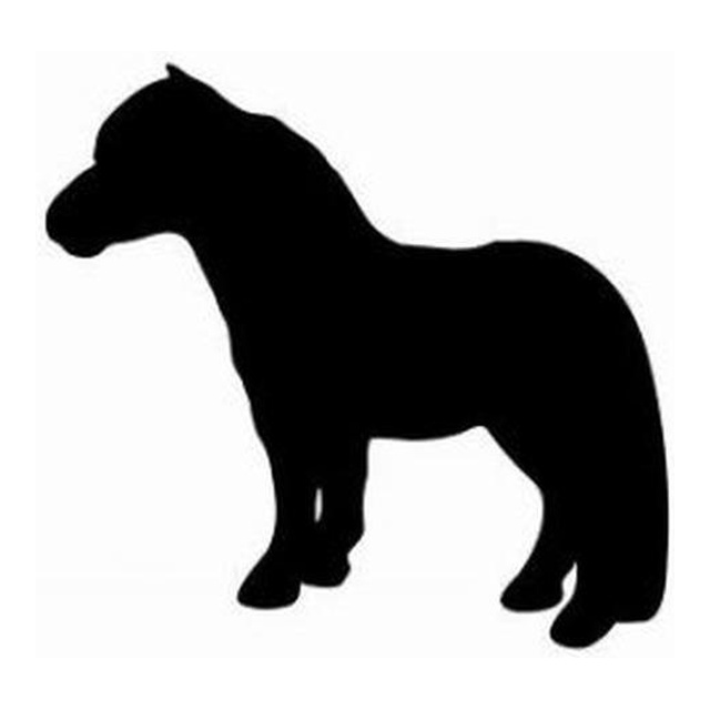 Pony (Sturdy Stance)