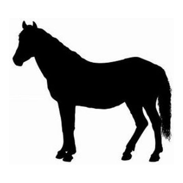 Pony (Alert Stance)