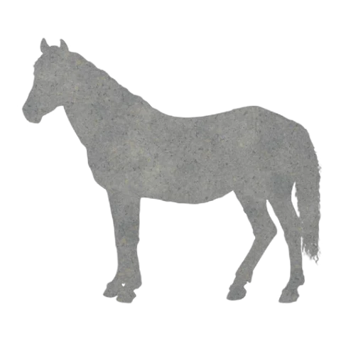 Pony (Alert Stance)