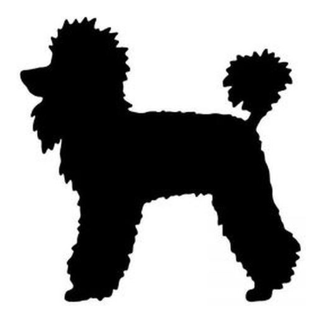 Poodle (Classic Clip)