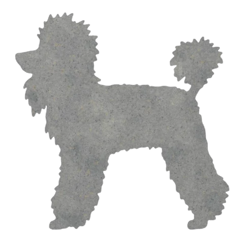 Poodle (Classic Clip)