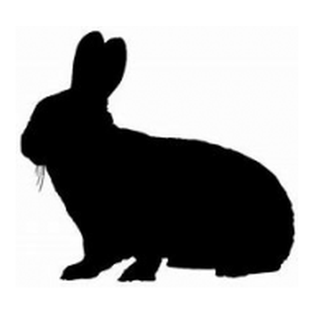 Rabbit (Alert Crouch)