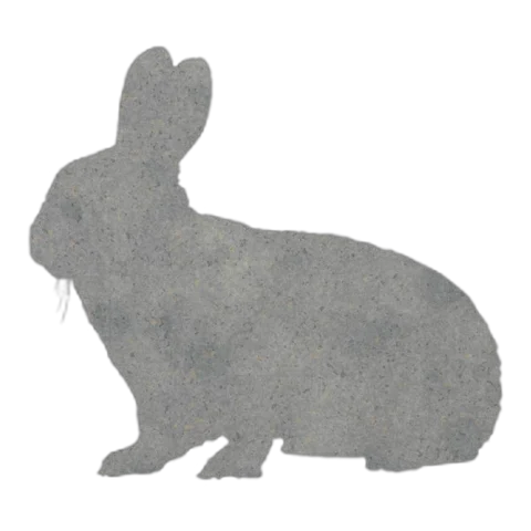 Rabbit (Alert Crouch)