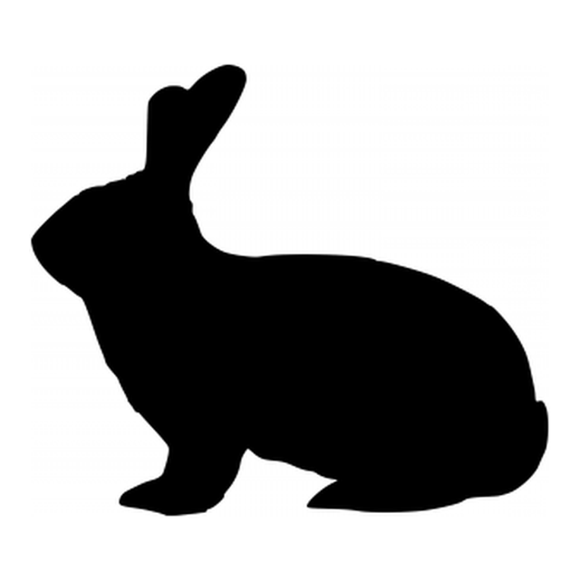 Rabbit (Watchful Ears)