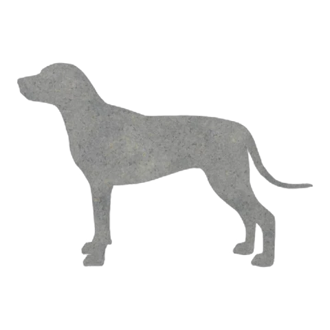 Rhodesian Ridgeback (Alert Stance)