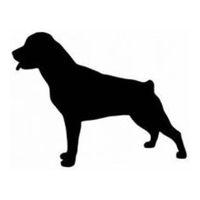 Rottweiler (Watchful Stance)