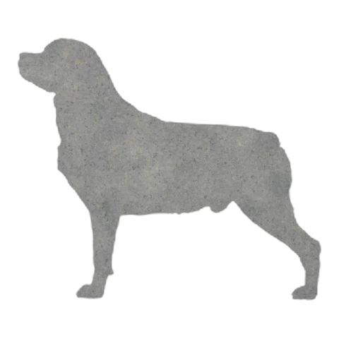 Rottweiler (Alert Stance)