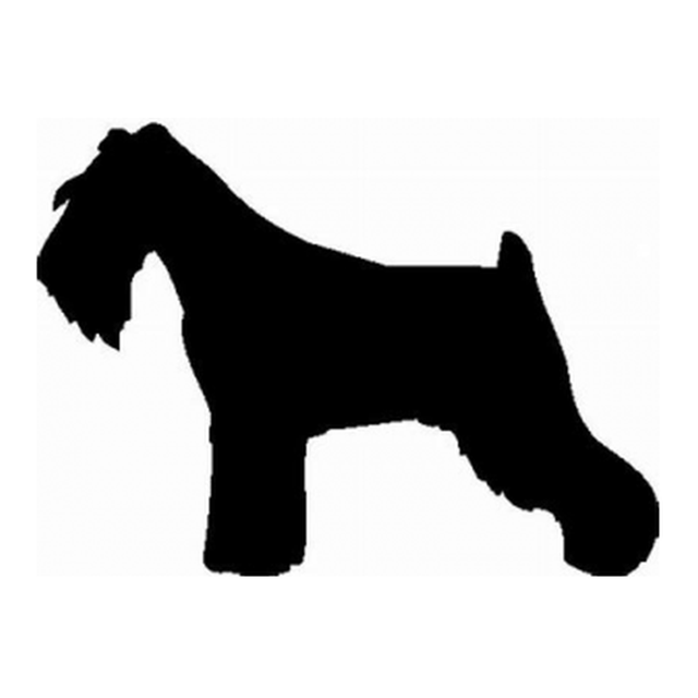 Schnauzer (Classic Stance)