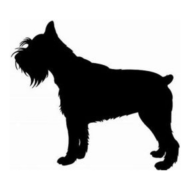 Schnauzer (Shaggy Stance)