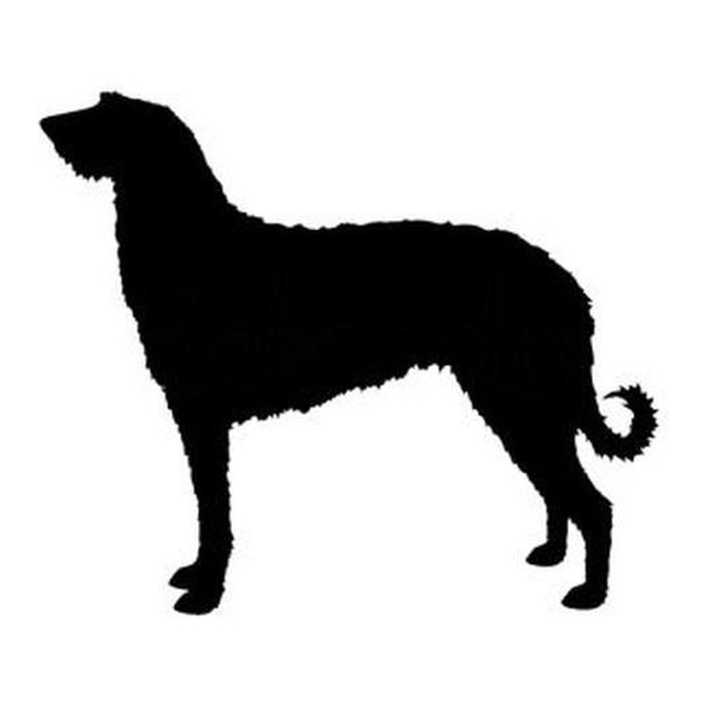 Scottish Deerhound (Noble Stance)