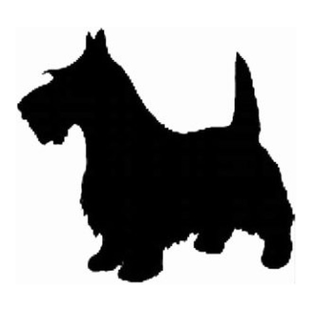 Scottish Terrier (Perky Stance)