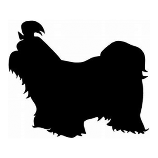 Shih Tzu (Flowing Coat)