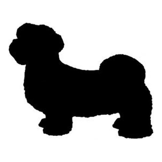 Shih Tzu (Cosy Stance)