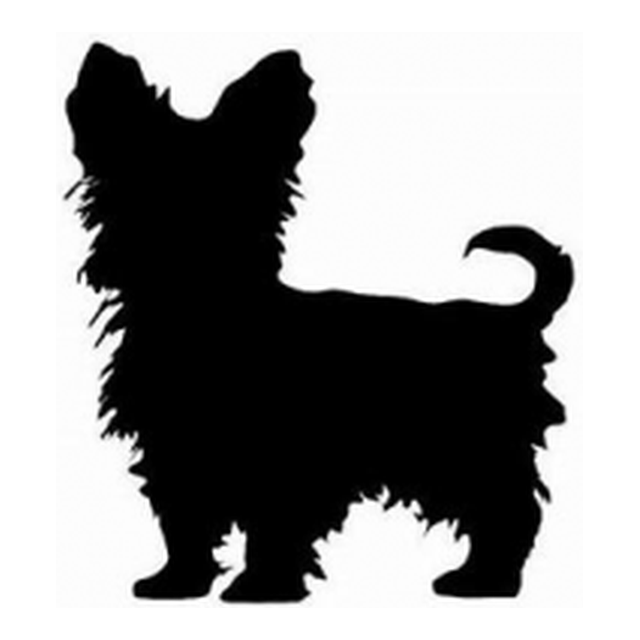 Silky Terrier (Silky Coat)