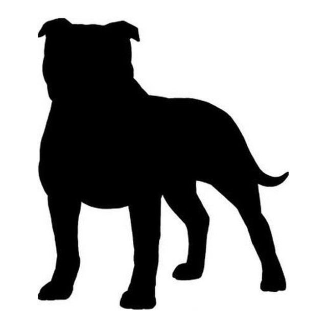 Staffordshire Bull Terrier (Sturdy Stance)