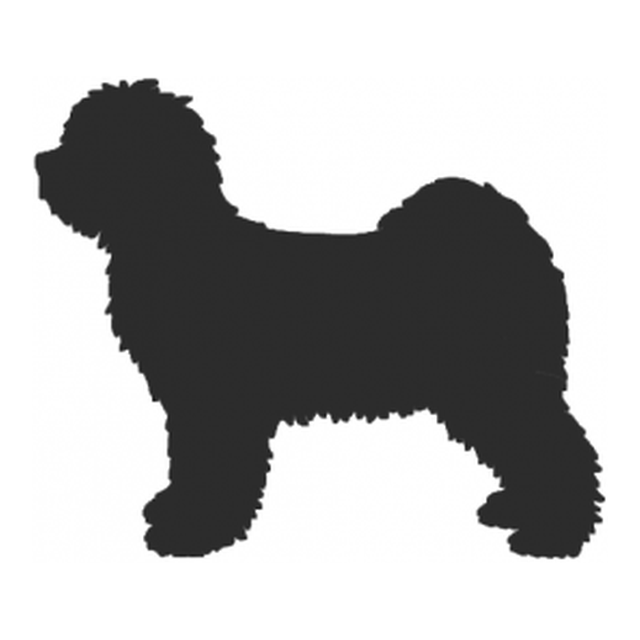 Tibetan Terrier (Fluffy Stance)