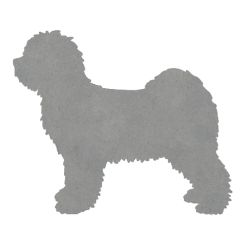 Tibetan Terrier (Fluffy Stance)