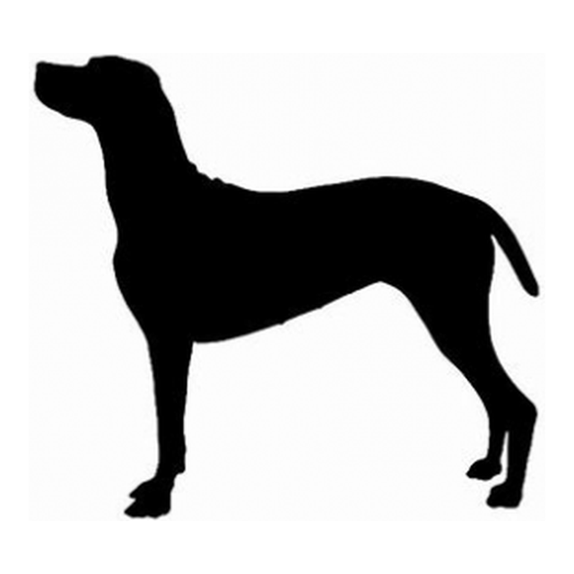 Vizsla (Sleek Stance)