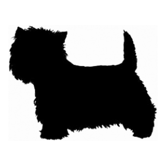 West Highland White Terrier (Perky Stance)