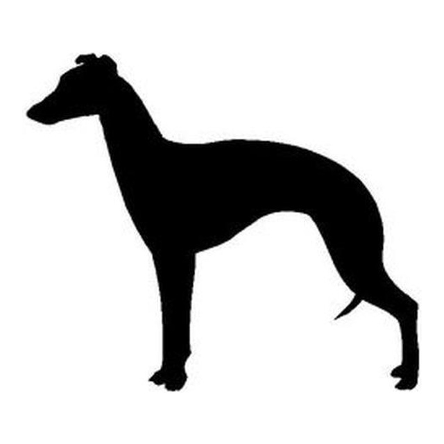 Whippet (Sleek Stance)