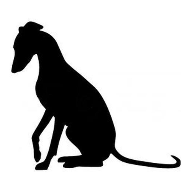 Whippet (Quiet Sit)