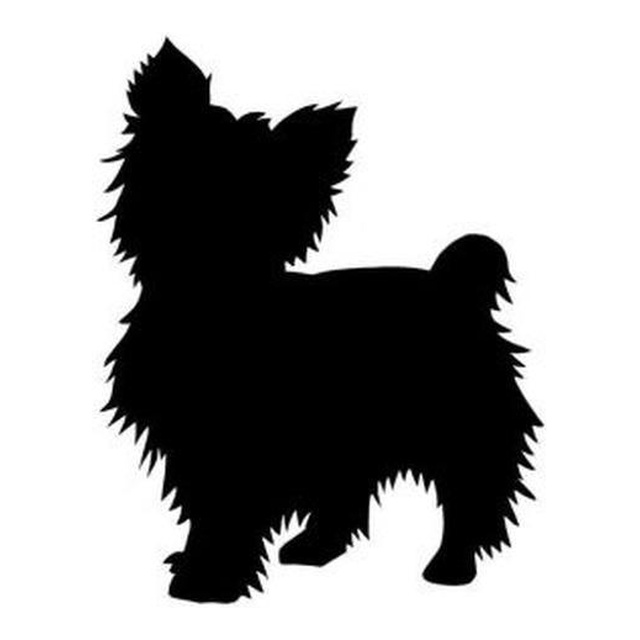 Yorkshire Terrier (Fluffy Stance)