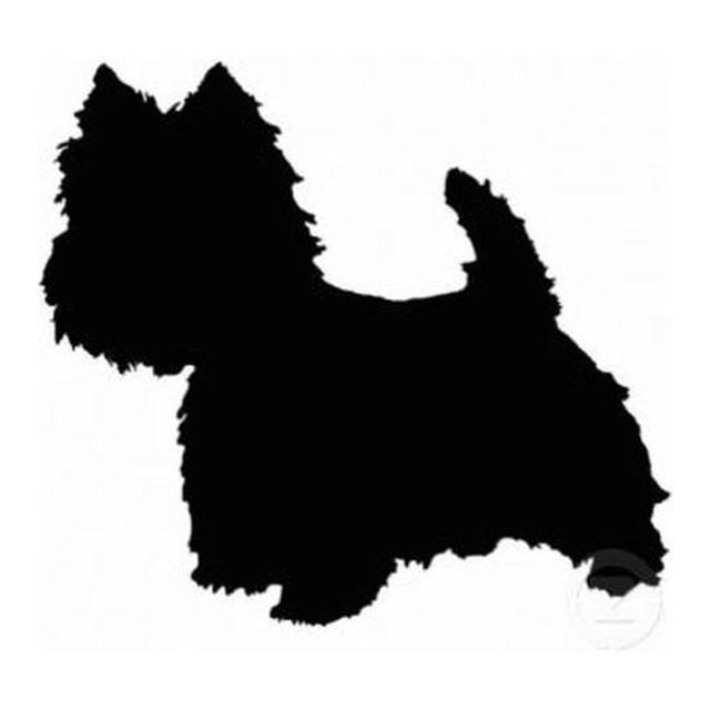 Yorkshire Terrier (Perky Stance)